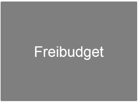 Freibudget